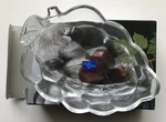 Studio Nova Natures Harvest WX009/364 Grapes Tidbit Bowl Glass. Fixed Price $5.99.
