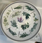 William Sonoma Herb Garden Pasta/ Salad Bowl Made In Portugal Euc 13. Fixed Price $35.00.