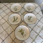 Williams-sonoma Herb Pasta Bowls 2 Anise, Thyme, Parsley And Sage 9.5. Fixed Price $65.00.