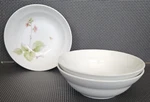 3 Mikasa Flowers Of The Month 1900 Nature's Garden Fruit/dessert/sauce Bowls. Fixed Price $29.99.