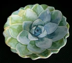 Nicole Miller Flower Petal Melamine Shallow Bowl Or Plate 8.5" X 1-1/4" SO34. Fixed Price $10.99.