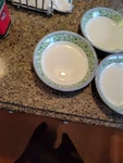 Wedgewood Watercolor Pasta Bowl Set Of 3 Fine Porcelain. Fixed Price $64.99.