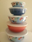 5 Piece Set Melamine Bowls With Lids-farmstand Floral. Fixed Price $33.00.