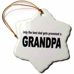 3DROSE Only The Best Dad Gets Promoted To Grandpa Inch Snowflake Porcelain Orn. Fixed Price $14.99.