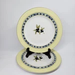 Royal Doulton Carmina 9" Lunch Plates Olives Set Of 2 Discontinued. Fixed Price $20.00.