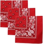 Ddi 2346766 Cotton Bandanas - Paisley, Deep Red Case Of 120. Fixed Price $101.09.