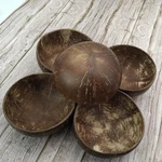 Natural Coconut Bowls Household Tableware Spoons Handicrafts. Fixed Price $9.86.
