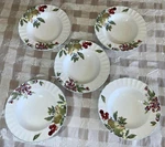 Mint Set Of (5) Mikasa Nature's Image Rimmed Soup Pasta Bowls 3/8" DN009. Fixed Price $26.97.