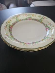 Porcelain Union Czechoslovakia 8 Inch Bowls Springtime Set Of 2. Fixed Price $25.00.