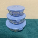 Imperial Glass Durable Heat Resistant Floral Food Storage Bowls Set Of 3 W/lids. Fixed Price $12.00.