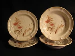 Mikasa Country Charm FG003 Strawflowers Soups & Salads. Fixed Price $39.95.