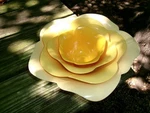 Zak! Stacking Nesting Flower Bowls- Set Of 4- Yellow, Read Color Details. Fixed Price $24.00.