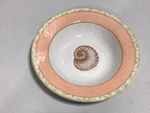 Casual Victoria & Beale Atlantis Rim Soup Bowl #9044. Fixed Price $7.99.