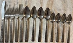 Silver Leaves Stainless By Lifetime Textured Handle, Glossy Bowl 13PC Set. Fixed Price $16.99.