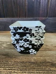 222 Fifth Mia Blossom Black And White Square Appetizer Bowls Set Of 4.25". Fixed Price $29.99.