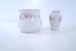 Bristol Fine China Vintage N-7036 Japan Grapes Leaves Sugar Bowl & Salt Shaker. Fixed Price $24.99.