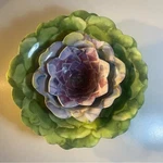 Set Of 3 Nicole Miller Melamine Succulent Nesting Bowls. Fixed Price $28.00.