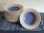 Htf Pfaltzgraff Rio China 9" Large Rim Soup *listing For One. Fixed Price $19.99.