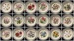Portmeirion Botanic Garden Dinner Plate -u Choose Flowers, Butterfly -new Mark. Fixed Price $18.99.