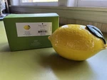 Kate Spade With Twist Lemon Covered Bowl 5.5IN New Box 874779 Lenox. Fixed Price $45.00.