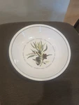 Williams Sonoma WS020 Sevillano Olives Pasta Bowl 9 1/4. Fixed Price $16.95.