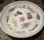 Williams-sonoma 13 Pasta Serving Bowl WSO24 Portugal Perfect & Never Used!. Fixed Price $44.89.