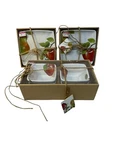 3 The Cellar Macys Apple Stoneware Fruit Bowls Appetizer Plates 2007 Small. Fixed Price $49.99.