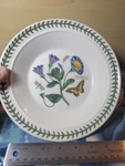 Portmeirion Botanic Garden Trailing Bindweed 8 1/2" Rimmed Soup Bowl Cottage. Fixed Price $22.00.