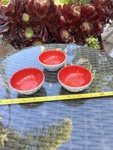 Pier 1 Imports White/red Porcelain Scalloped Sauce Dipping Bowls 3 Set Of New. Fixed Price $23.98.