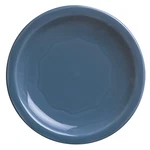 Syracuse China 903032011 Cantina Blueberry 10.25" Plate - 12 / Cs. Fixed Price $177.95.
