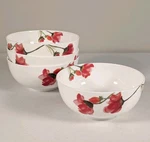 Mikasa Keira Bone China 6" Cereal Soup Bowls Set Of Four (4) Spring Poppy Floral. Fixed Price $44.95.