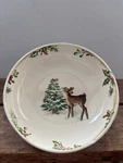 Pier 1 Winter's Wonder Pasta/serving Salad Bowl Ironstone Fawn Reindeer Tree 8. Fixed Price $21.00.