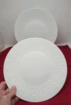 Exzellenz By Hutschenreuther Dinner Plate Set Of 2 Germany 9.75" Diameter. Fixed Price $35.96.