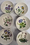 Portmeirion Botanic Garden Set Of Assorted 5.5" Bowls ----4609-----. Fixed Price $139.99.
