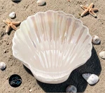 Pottery Barn Pearlescent Shell Cereal Bowl 14.5 Oz Stoneware Summer. Fixed Price $39.99.