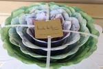 Nicole Miller Floral Shaped Cactus Blooms Melamine Serving Bowls Multi-color 4PC. Fixed Price $59.99.