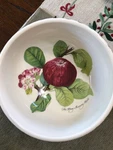 Portmeirion New Pomona Set (4) 5.5" Fruit Salad Bowl Made England. Fixed Price $84.95.