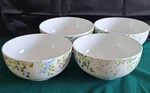 Mikasa Tivoli Garden 6" Soup/cereal Bowls, 24 Oz,bone China, Brand New, Set Of. Fixed Price $30.00.