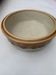 Mikasa Natures Song C1050 Japan Stoneware 1/2" Dessert Berry Bowl. Fixed Price $11.99.