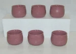 Aladdin Temp Rite 31860 Allure Mauve 5 Ounce Insulated Bowls Piece Set. Fixed Price $20.99.