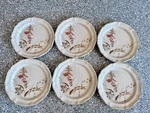6 Mikasa Country Charm Strawflowers Dinner Plates FG003 10 7/8. Fixed Price $72.00.
