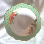 Pioneer Woman Holiday Charm/poinsettia Bowl & Dinner Plate Green Festive Polka. Fixed Price $24.99.