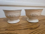 Pfaltzgraff Remembrance Sherbert Ice Cream Two (2) Footed Dessert Bowls. Fixed Price $11.99.