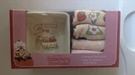 Strawberry Shortcake Ceramic Bowl And Sock Set Nib. Fixed Price $20.00.