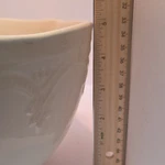 The Pioneer Woman Cream Stoneware Dinnerware Bowl Embossed Floral 9" Round. Fixed Price $29.99.
