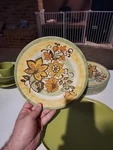 (19) Prolon Melamine Dishware, Plates, Bowls, Serveware, Cup, Floral/olive Green. Fixed Price $150.00.