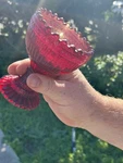 Iittala Marimekko Mariskooli Maribowl 120MM Glass In Ruby Red. Fixed Price $45.00.