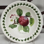 Portmeirion New Pomona Hoary Morning Apple Oatmeal Bowl Never Used Brand. Fixed Price $49.99.