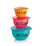 Super Sale! Tupperware Impressions Large 3PC Mixing Bowls 18C 10C 5.5C Bpa-free. Fixed Price $39.00.