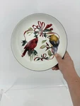 Lenox Winter Greetings Everyday 9 Rim Pasta Bowl Cardinal Birds. Fixed Price $25.00.